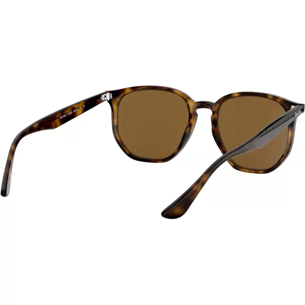 RayBan Rb4306 Hexagonal SunglassesLight HavanaPolarized Brown