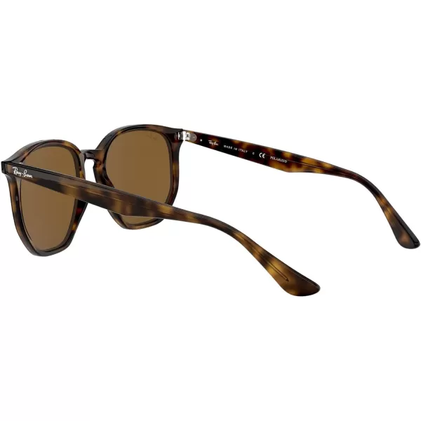 RayBan Rb4306 Hexagonal SunglassesLight HavanaPolarized Brown