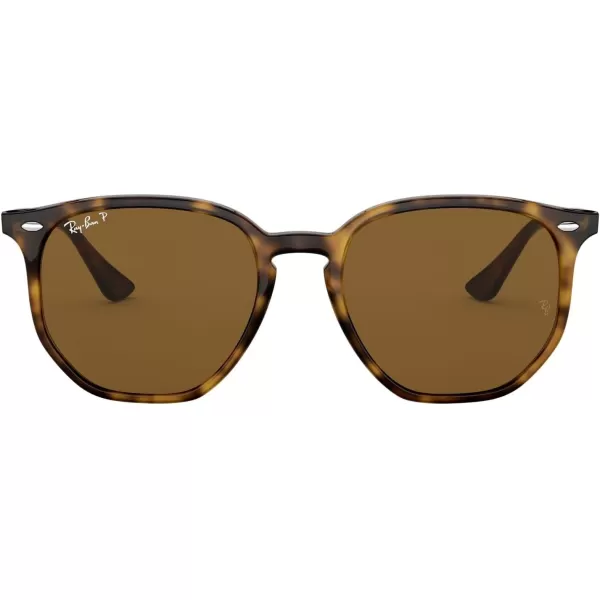 RayBan Rb4306 Hexagonal SunglassesLight HavanaPolarized Brown