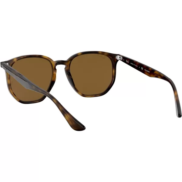 RayBan Rb4306 Hexagonal SunglassesLight HavanaPolarized Brown