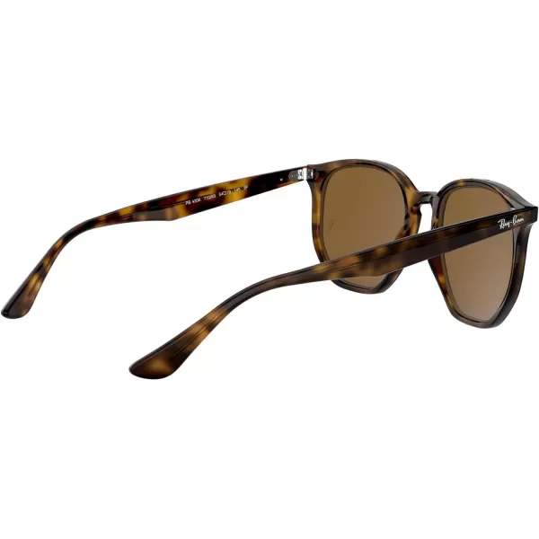 RayBan Rb4306 Hexagonal SunglassesLight HavanaPolarized Brown