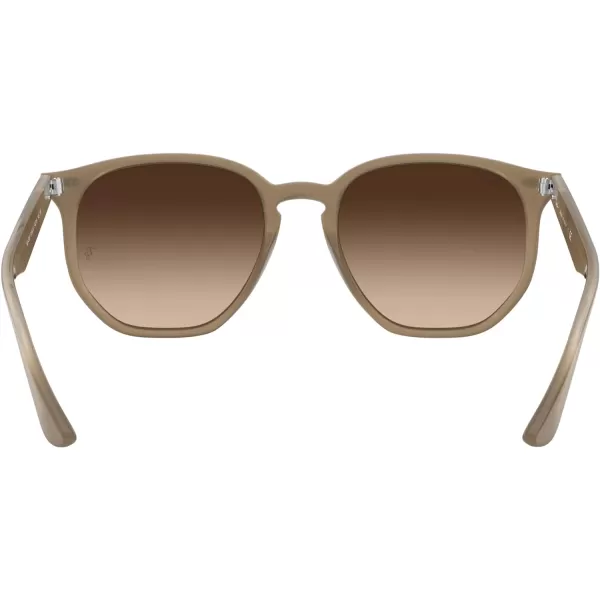 RayBan Rb4306 Hexagonal SunglassesOpal BeigeBrown Gradient