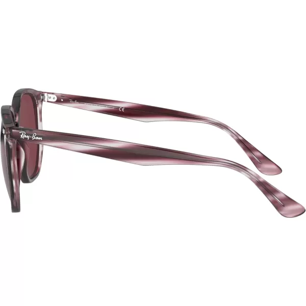 RayBan Rb4306 Hexagonal SunglassesStriped Bordeaux HavanaDark Violet