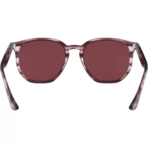 RayBan Rb4306 Hexagonal SunglassesStriped Bordeaux HavanaDark Violet