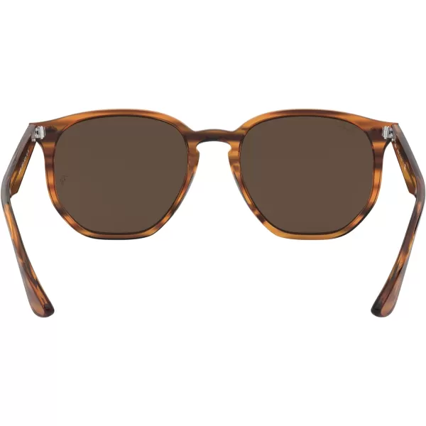 RayBan Rb4306 Hexagonal SunglassesStriped Red HavanaDark Brown