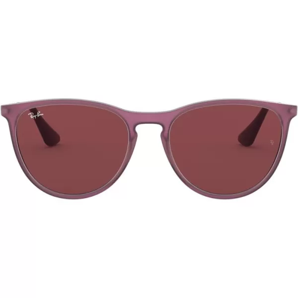 RayBan Junior Kids RJ9060sf Erika Asian Fit Round SunglassesRubber Transparent FuchsiaDark Violet