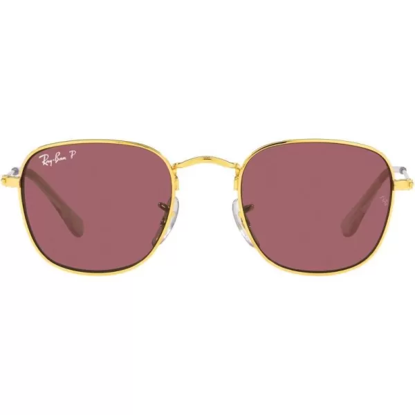 RayBan Junior RJ9557S Square Sunglasses Legend GoldPurple Polarized 46 mmRayBan Junior RJ9557S Square Sunglasses Legend GoldPurple Polarized 46 mm