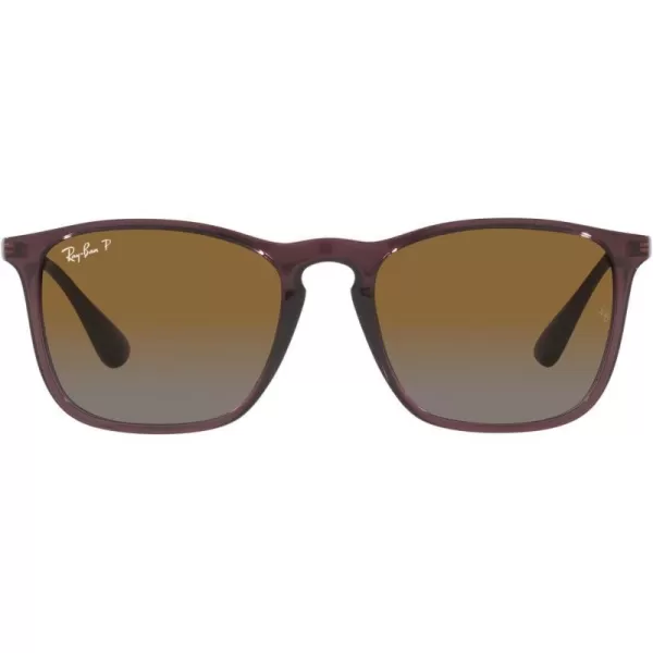 RayBan RB4187 Chris Square SunglassesTransparent BrownGrey Gradient Brown Polarized