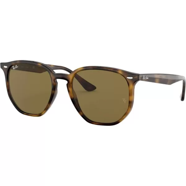 RayBan Rb4306 Hexagonal SunglassesLight HavanaDark Brown