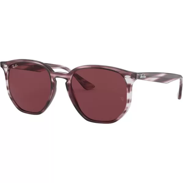 RayBan Rb4306 Hexagonal SunglassesStriped Bordeaux HavanaDark Violet