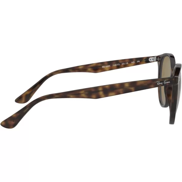 RayBan Rb4305 Round SunglassesLight HavanaDark Brown