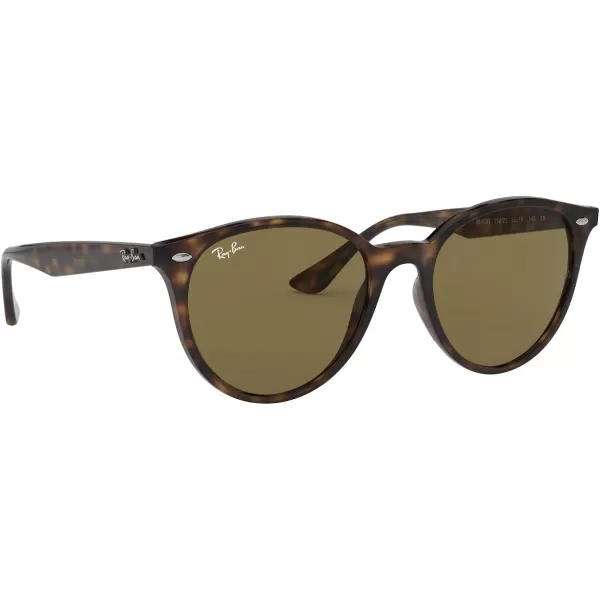 RayBan Rb4305 Round SunglassesLight HavanaDark Brown