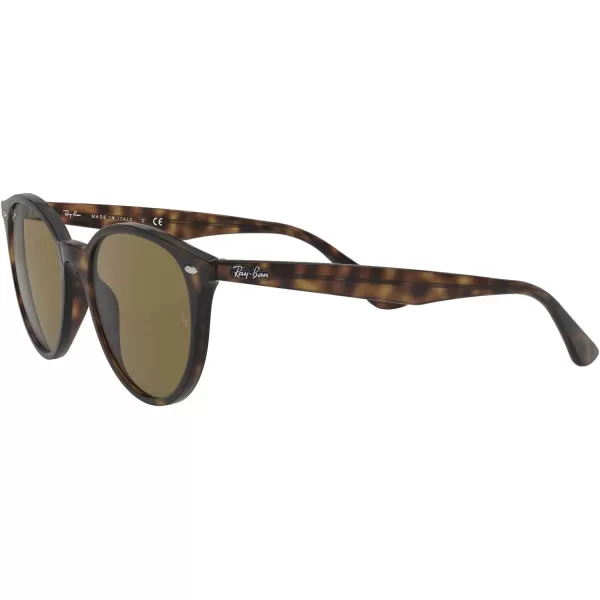 RayBan Rb4305 Round SunglassesLight HavanaDark Brown