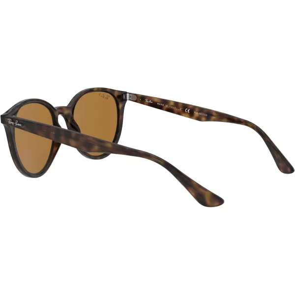 RayBan Rb4305 Round SunglassesLight HavanaPolarized Brown