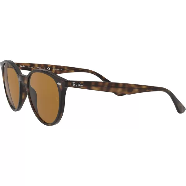 RayBan Rb4305 Round SunglassesLight HavanaPolarized Brown