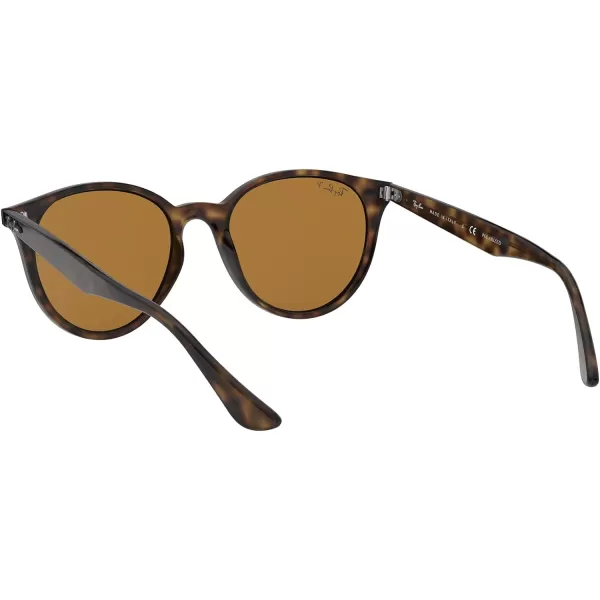 RayBan Rb4305 Round SunglassesLight HavanaPolarized Brown