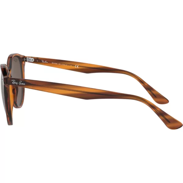 RayBan Rb4305 Round SunglassesStriped Red HavanaDark Brown