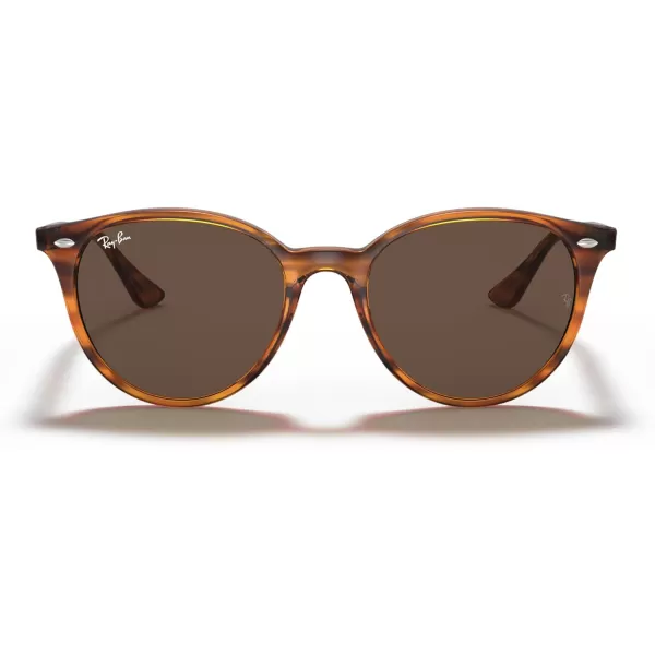 RayBan Rb4305 Round SunglassesStriped Red HavanaDark Brown