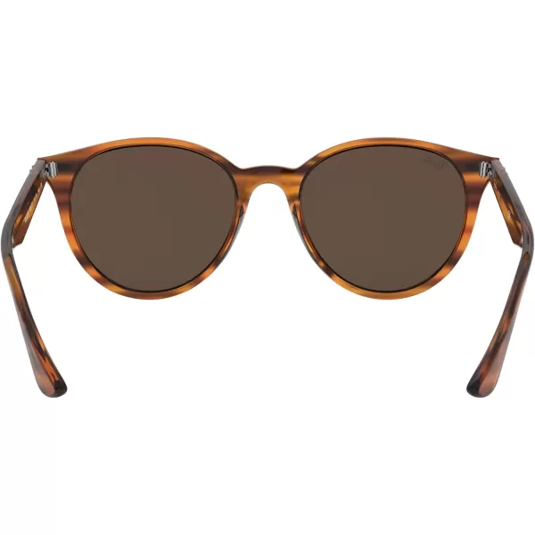 RayBan Rb4305 Round SunglassesStriped Red HavanaDark Brown