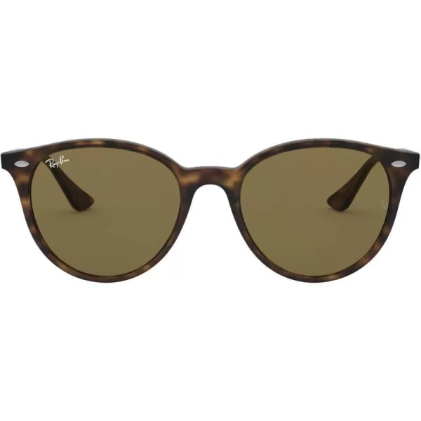 RayBan Rb4305 Round SunglassesLight HavanaDark Brown