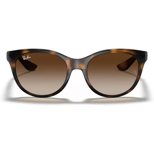 RayBan Child Sunglasses Havana Frame Dark Brown Lenses 47MMHavanaBrown Gradient Dark Brown