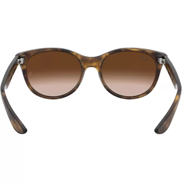 RayBan Child Sunglasses Havana Frame Dark Brown Lenses 47MMHavanaBrown Gradient Dark Brown