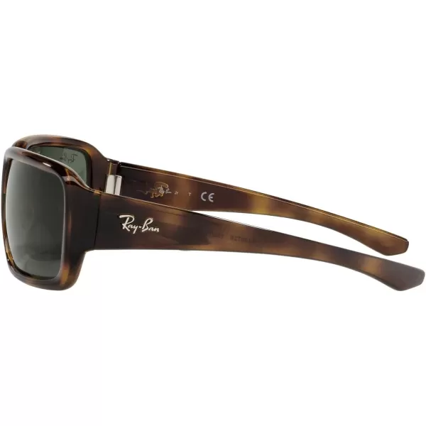 RayBan Child Sunglasses Havana Frame Dark Green Lenses 51MMRayBan Child Sunglasses Havana Frame Dark Green Lenses 51MM