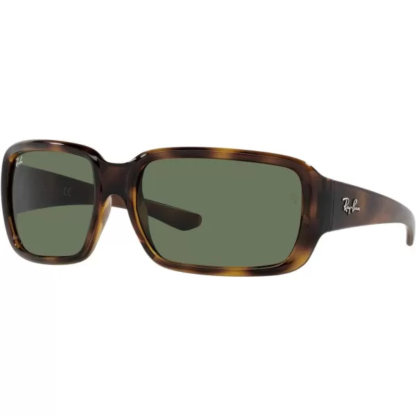 RayBan Child Sunglasses Havana Frame Dark Green Lenses 51MMRayBan Child Sunglasses Havana Frame Dark Green Lenses 51MM