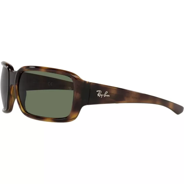 RayBan Child Sunglasses Havana Frame Dark Green Lenses 51MMRayBan Child Sunglasses Havana Frame Dark Green Lenses 51MM