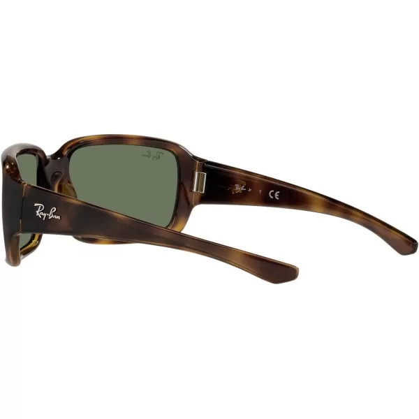 RayBan Child Sunglasses Havana Frame Dark Green Lenses 51MMRayBan Child Sunglasses Havana Frame Dark Green Lenses 51MM