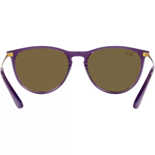 RayBan Junior Kids RJ9060s Erika Round SunglassesOpal VioletDark Brown