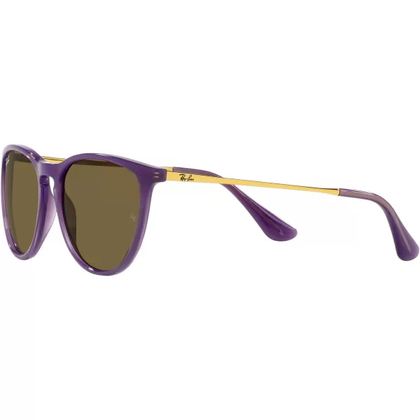 RayBan Junior Kids RJ9060s Erika Round SunglassesOpal VioletDark Brown