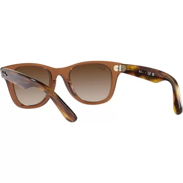 RayBan Junior Kids RJ9066s Wayfarer Square SunglassesTransparent BrownBrown Gradient