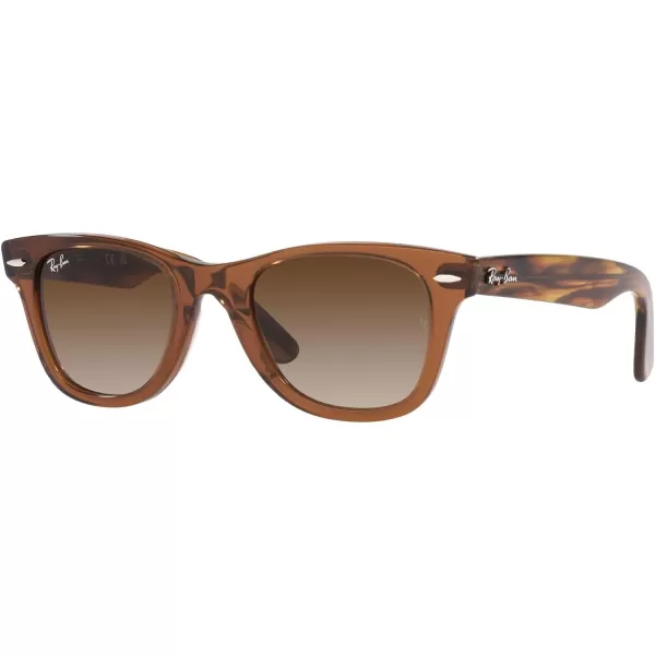 RayBan Junior Kids RJ9066s Wayfarer Square SunglassesTransparent BrownBrown Gradient