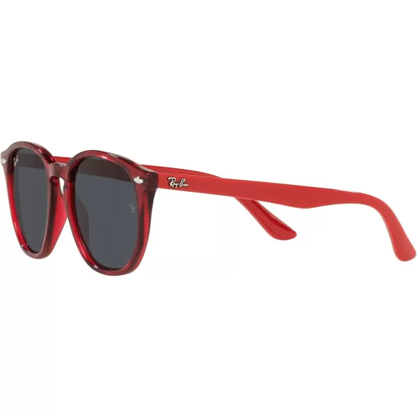 RayBan Junior RJ9070S Round Sunglasses Transparent RedDark Grey 46 mmRayBan Junior RJ9070S Round Sunglasses Transparent RedDark Grey 46 mm