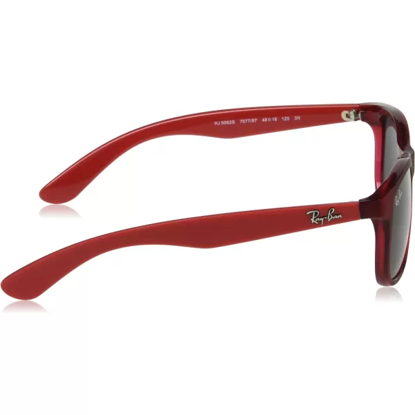 RayBan Junior Rj9062S Rectangular Sunglasses Transparent RedDark Grey 48 mmRayBan Junior Rj9062S Rectangular Sunglasses Transparent RedDark Grey 48 mm