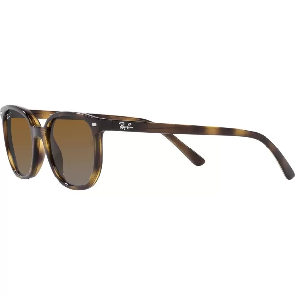 RayBan Juniors RJ9097s Elliot Square SunglassesHavanaGrey Gradient Brown Polarized