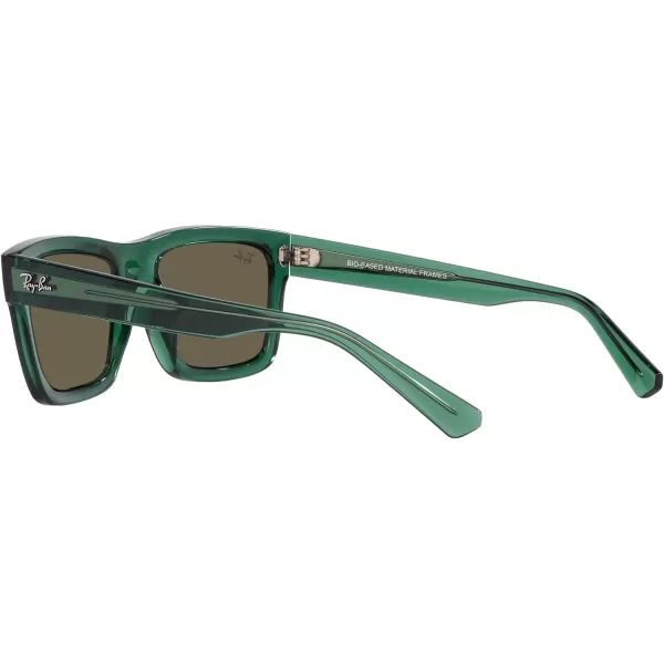 RayBan Mens Rb4396 Warren Rectangular SunglassesTransparent GreenBrown