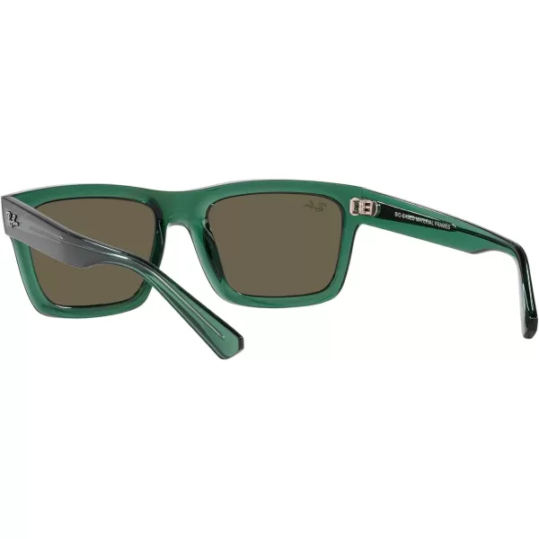 RayBan Mens Rb4396 Warren Rectangular SunglassesTransparent GreenBrown