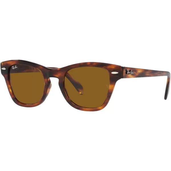 RayBan RB0707s Square SunglassesStriped HavanaBrown