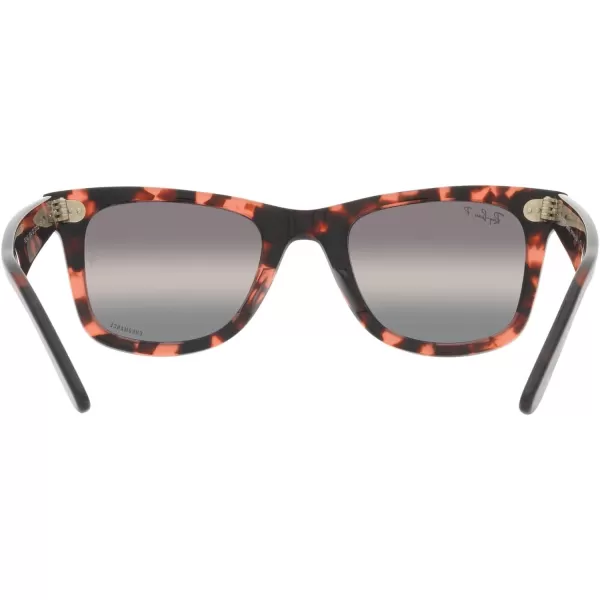 RayBan RB2140 Original Wayfarer Gradient SunglassesPink HavanaPolarized Clear Gradient Dark Grey