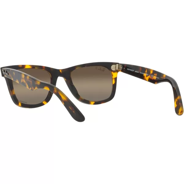 RayBan RB2140 Original Wayfarer Gradient SunglassesYellow HavanaPolarized Clear Gradient Dark Brow