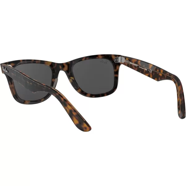 RayBan RB2140 Original Wayfarer SunglassesHavana on Transparent BrownDark Grey