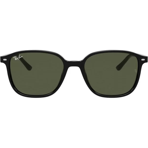 RayBan RB2193 Leonard Square SunglassesBlackG15 Green