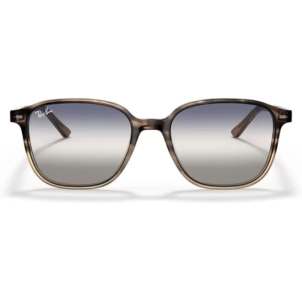 RayBan RB2193 Leonard Square SunglassesGradient Brown HavanaClear Gradient Blue Gradient Grey