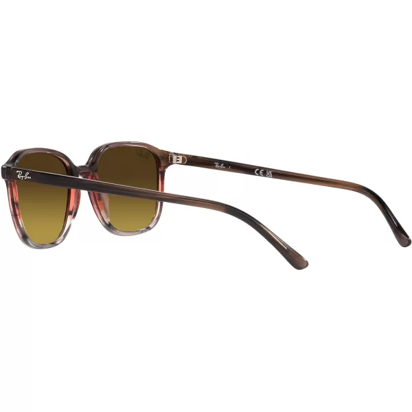 RayBan RB2193 Leonard Square SunglassesStriped Brown Gradient RedGradient Brown