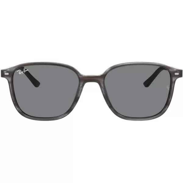 RayBan RB2193 Leonard Square SunglassesStriped GreyDark Grey