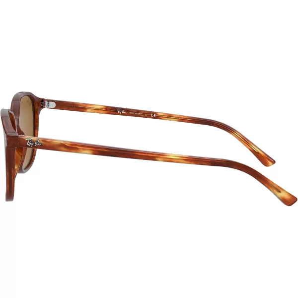 RayBan RB2193 Leonard Square SunglassesStriped HavanaB15 Brown