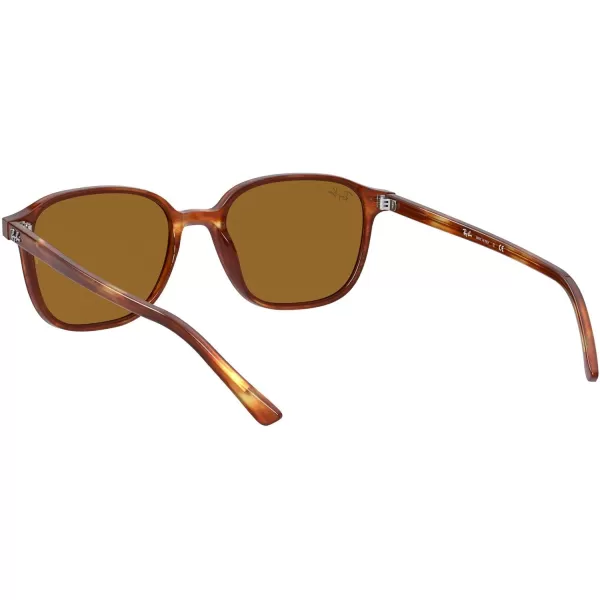 RayBan RB2193 Leonard Square SunglassesStriped HavanaB15 Brown