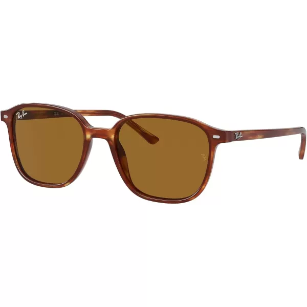 RayBan RB2193 Leonard Square SunglassesStriped HavanaB15 Brown